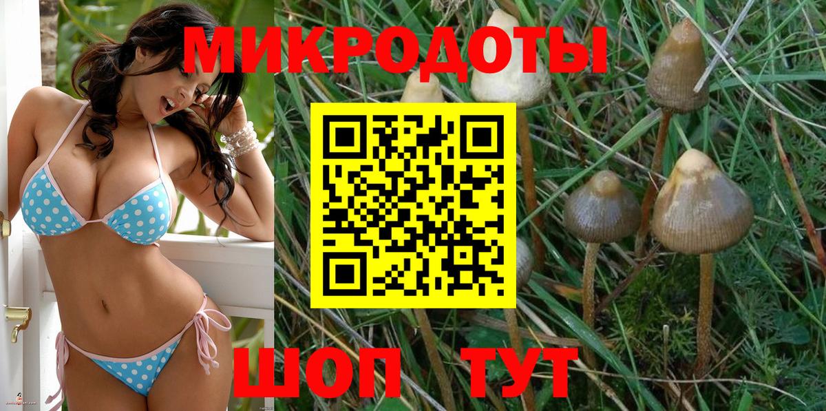Псилоцибиновые грибы GOLDEN TEACHER  Вход с VPN  Раменское 